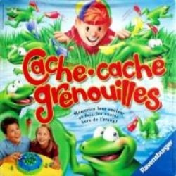 <a href="/node/41959">Cache-cache grenouilles</a>